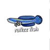 rafizz122
