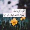 user6107312437933