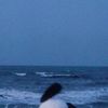 aiai_x1q