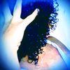 dula12337