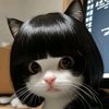 mommy.cat13