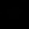 nvx_1206