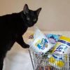 cart.full.chronicals