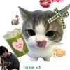 yumsigism1