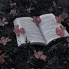 book_aes0