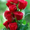 user3461120546747