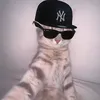 lwx_raphi