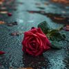 iqra.hashmii2