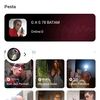 par.king6