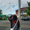 rega_sukableyer08
