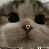 analynbeltran678