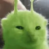 zeniesalt