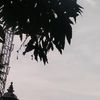 preluv_medan