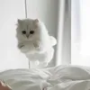 hello11kitty1