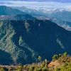 tamang1009