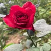 hng095741