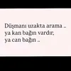 hasan66419