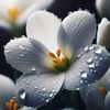 angel.lily123