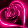 user7360040502028