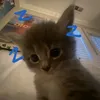 iuu_123