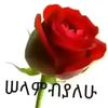 mike633894