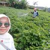salsa.bila7680