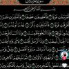 everything.aysha
