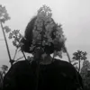 hsad_a