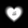 yasser199272