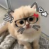 thanei881gmail.com