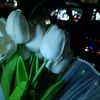 habiba69553