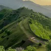 zeinab.mayahi