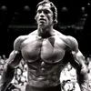 rocky_29273720