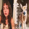lee.luvcatz