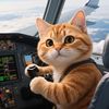 Wycatstory