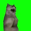 a_m_a_n_d_a_0_