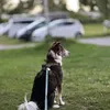 simon_0709