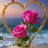 muhammadtariqkhos6