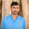 danisidhujutthund