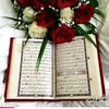 user4137971854828