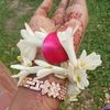 jakia.nupur4