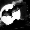 sera_bat
