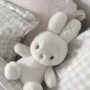 cuentitadedicadarosie