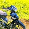 elit276
