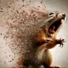 zdnnnnnnnnnnnnnnnnnnnnn_
