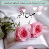 user906150307