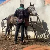 1guisouzaa0