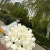 wanawsha811
