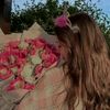 rose_rose1912