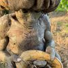 African Tarzan